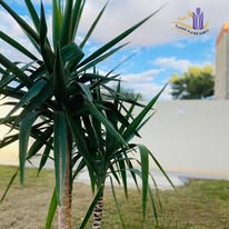 473825588 122180698868094810 6913976674258836100 n